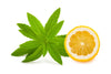 Le Petit Marseillais: Lemon and Verbena Shower Gel