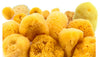 Natural Sea-Sponge