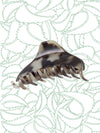 Thompson Alchemists: Fine to Thin Hair Claw Clip