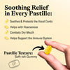 Grether's Pastilles: Ginger Lemon (Sugarfree)