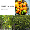 Berdoues: Assam Of India Parfums Women & Men