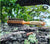 thompson alchemists hair brush